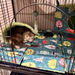 120770713_778699686026131_1414493793024969127_o