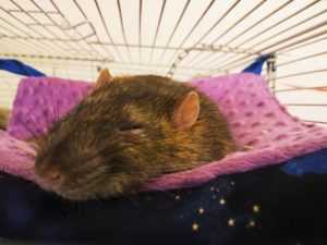 122707838_368734210993258_401752148354048836_n