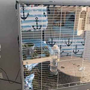 122739359_794397091123057_91375208261210436_o