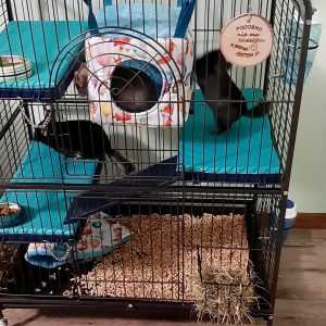 127283795_816889692207130_641199819003285643_o