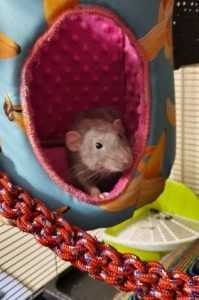 145829413_768755790721812_2737810506291497795_n