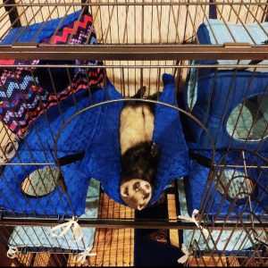 43391925_345174012712036_4609969023646433280_o