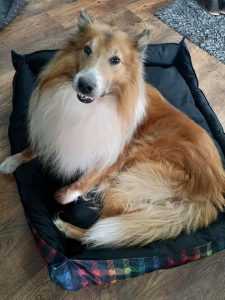 89765835_643116832917751_2720861146360840192_n