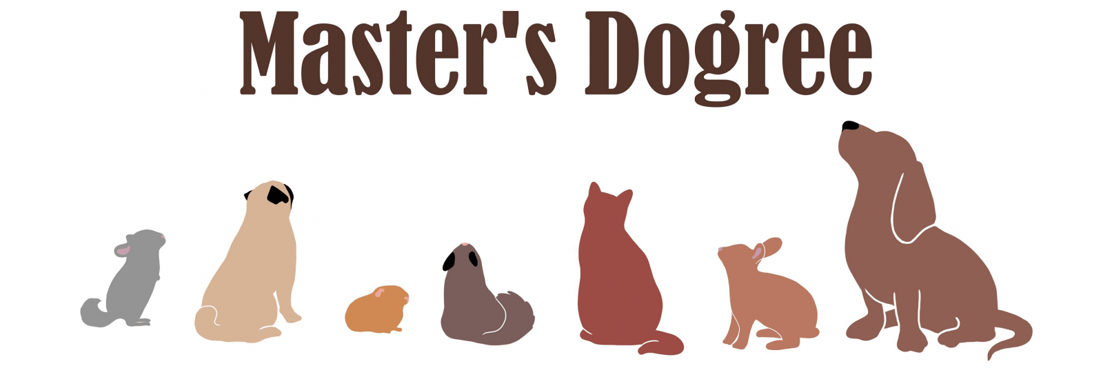 hamaki i domki dla gryzoni