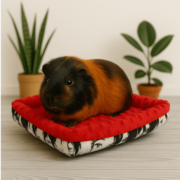 Legowisko dla świnki morskiej