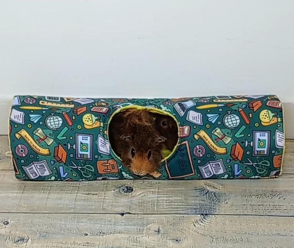 Tunel z wejściem - obrazek 2