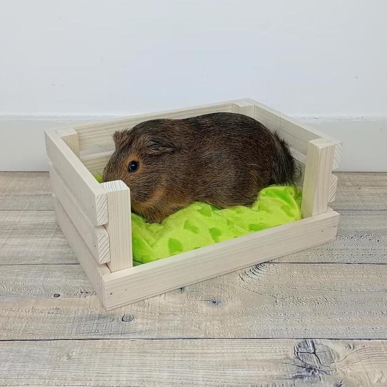 Drewniane legowisko świnki morskiej