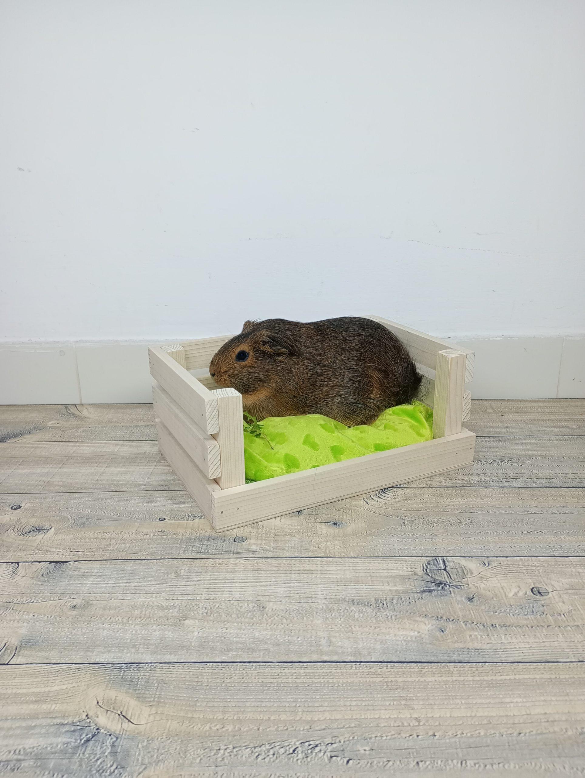 Drewniane legowisko świnki morskiej
