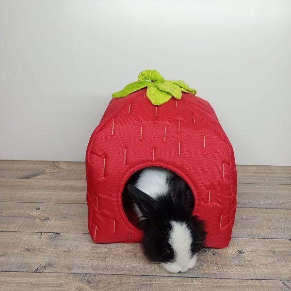 Domek Truskawka dla Gryzoni